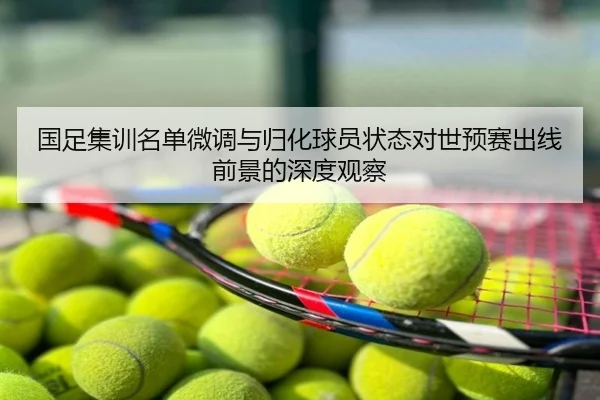 国足集训名单微调与归化球员状态对世预赛出线前景的深度观察