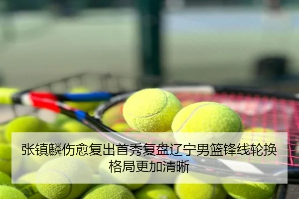 张镇麟伤愈复出首秀复盘辽宁男篮锋线轮换格局更加清晰
